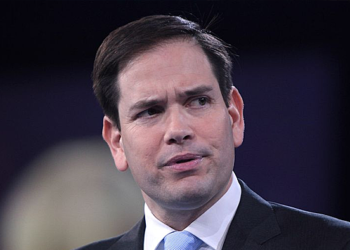 Senador Marco Rubio critica plan de Biden para Cuba que incluye restituir las remesas