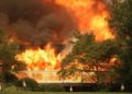 Incendios del oeste de EEUU arrasaron 1.673 km² de bosques