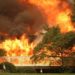 Incendios del oeste de EEUU arrasaron 1.673 km² de bosques
