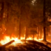 En oeste de EEUU se lucha contra ola de incendios forestales