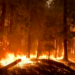 El gran incendio de California ya se ha convertido en el undécimo mayor de su historia