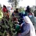 Europa espera una nueva ola de refugiados afganos