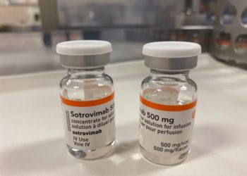 ¡Descubierto! Anticuerpo que neutraliza todas las variantes del Covid-19