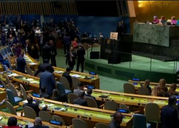 ¿Qué ocurre en una Asamblea General de la ONU?