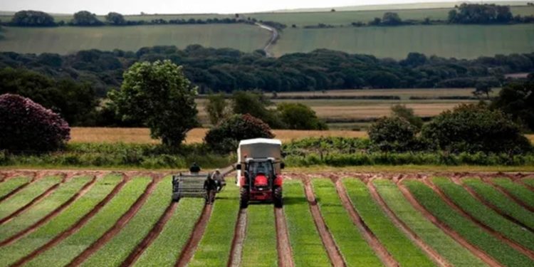 Gran Bretaña necesita trabajadores y se salta el Brexit con 10.500 visados para la comunidad europea