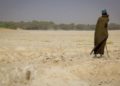 ¿Alguien paga la lucha contra el cambio climático?