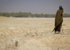 El 31 de octubre comienza Cumbre del Cambio Climático, sepa qué temas se tratarán