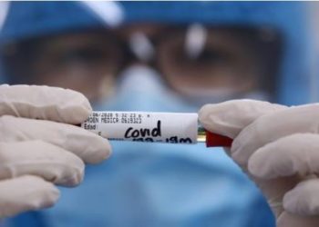 Científicos encuentran una forma de bloquear la infección del Covid-19