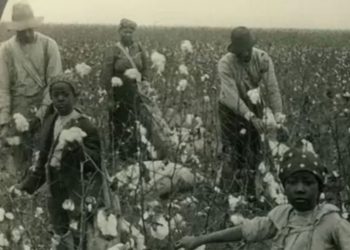 ¿Cómo perdió México el territorio de la actual Texas?