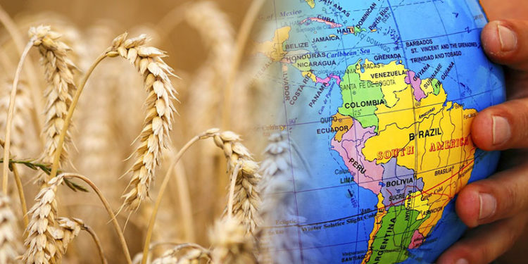 El conflicto entre Rusia y Ucrania afecta hasta los precios del trigo en Latinoamérica.