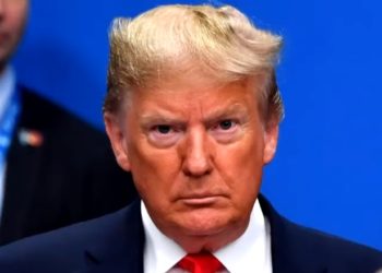 Estaban en Mar-A-Lago: Recuperan 15 cajas de registros de la Casa Blanca de la era Trump