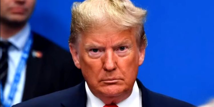 Estaban en Mar-A-Lago: Recuperan 15 cajas de registros de la Casa Blanca de la era Trump