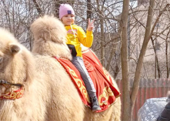 El zoológico de Odesa vuelve a recibir visitantes.