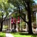 Harvard crea fondo para reparar sus vínculos con esclavismo