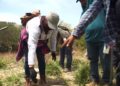 ONU denuncia aumento «alarmante» de desapariciones forzadas en México