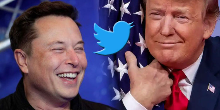 ¿Podría Elon Musk hacer que Trump y otros «cancelados» vuelvan a Twitter?