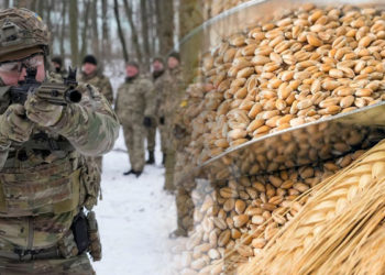 La guerra en Ucrania compromete la estabilidad alimentaria del planeta.