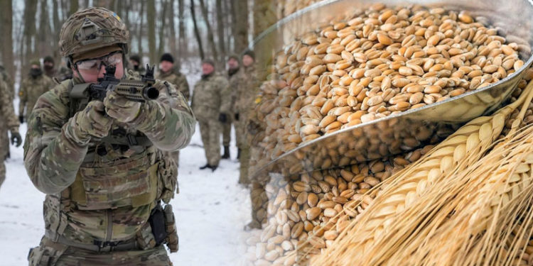La guerra en Ucrania compromete la estabilidad alimentaria del planeta.