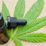 La marihuana medicinal ayuda a pacientes en, al menos, 5 tipos de patologías.