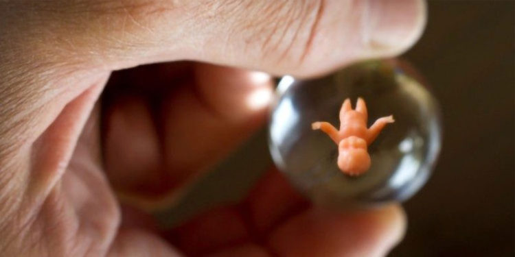 El tema del aborto polariza a la sociedad, pero mucho más a los políticos.