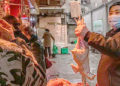 Dos estudios indican que el origen de la Covid 19 podría estar en el mercado de Wuhan. Pero no son concluyentes.