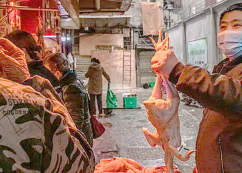 Dos estudios indican que el origen de la Covid 19 podría estar en el mercado de Wuhan. Pero no son concluyentes.
