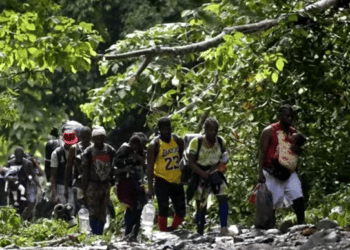Diáspora venezolana: Expertos analizan la situación del Darién