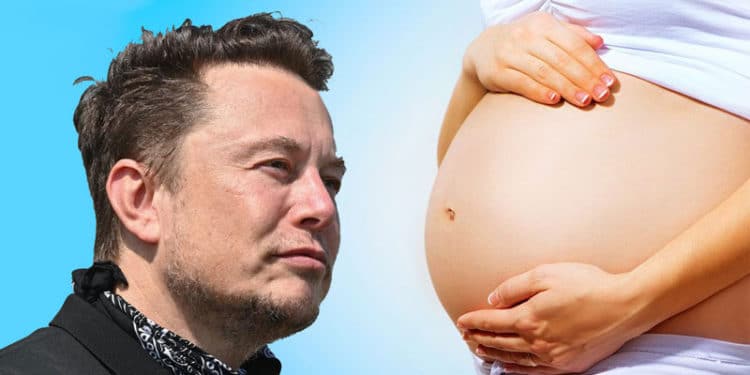 Elon Musk cree que somos pocos los seres humanos, por causa de una baja natalidad.