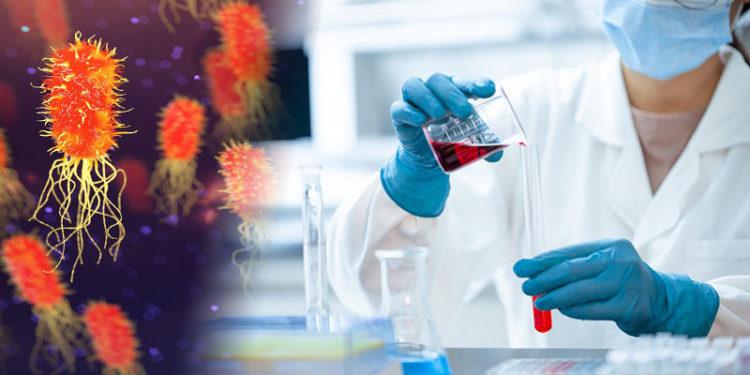 Investigadores aseguran que esta molécula algún día podría usarse para tratar infecciones difíciles en humanos.