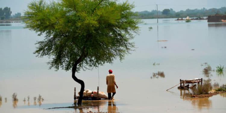 Pakistán requiere mucha ayuda internacional, para salir a flote.