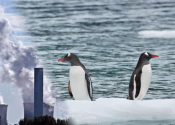 El colapso del glaciar Thwaites es consecuencia directa de la contaminación humana.