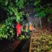 Tormenta tropical Julia obliga a El Salvador a decretar emergencia nacional