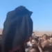 Protestas Irán: Condenan a pena de muerte a manifestante