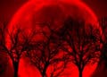 La Luna de Sangre de noviembre coincide con las elecciones intermedias. ¿Vendrán cambios en el Congreso?