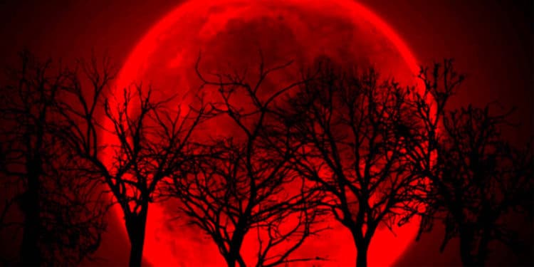 La Luna de Sangre de noviembre coincide con las elecciones intermedias. ¿Vendrán cambios en el Congreso?