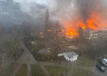 Dolor indescriptible en Ucrania: 18 muertos, incluido el Ministro del interior, al estrellarse helicóptero