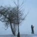 Se acerca otra tormenta invernal: 16 estados en alerta