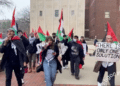 Huellas virales del antisemitismo