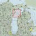 EEUU cerró espacio aéreo sobre el lago Michigan por aparición de OVNI