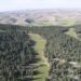 Los bosques