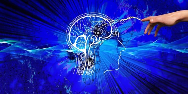 Inteligencia organoide: Nuevo rumbo de la IA