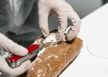 Entre 2020 y 2021, la producción de cocaína en el mundo aumentó un 35%.