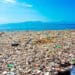 Isla de basura del Pacífico es tan grande que un ecosistema costero está prosperando en ella