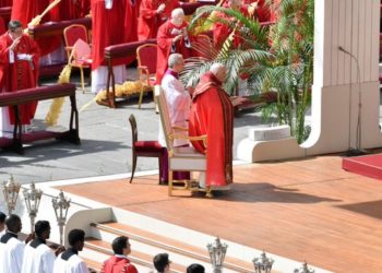 Tras haber sido dado de alta: El papa Francisco dirigió la misa de Domingo de Ramos