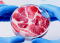 Carne de laboratorio…¿25 veces peor para el clima que la carne de res?