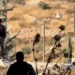 Israel continúa sus ataques con bombas en la Franja de Gaza