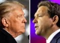 Trump - DeSantis