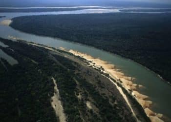 La cuenca del Amazonas se ha convertido en una tierra sin ley