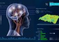 La Inteligencia Artificial predice la educación en los próximos 30 años