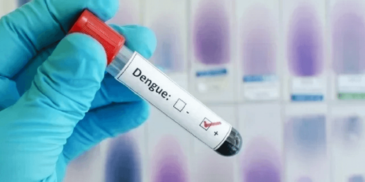El Niño traerá consigo dengue, zika, chikungunya y muchos mosquitos